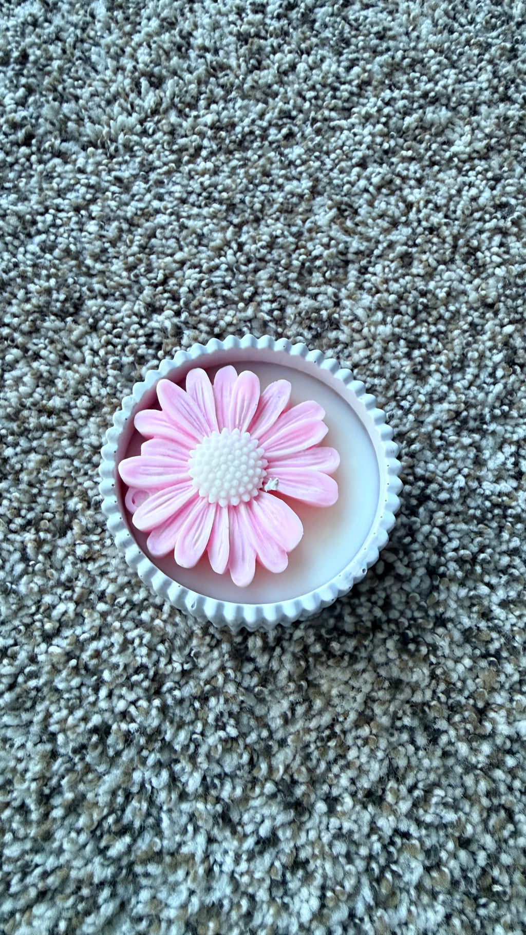 Dragon Fruit Scented Bloom Set
